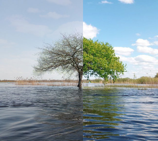 Полесские разливы