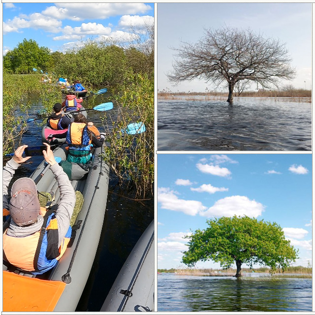 Море Геродота